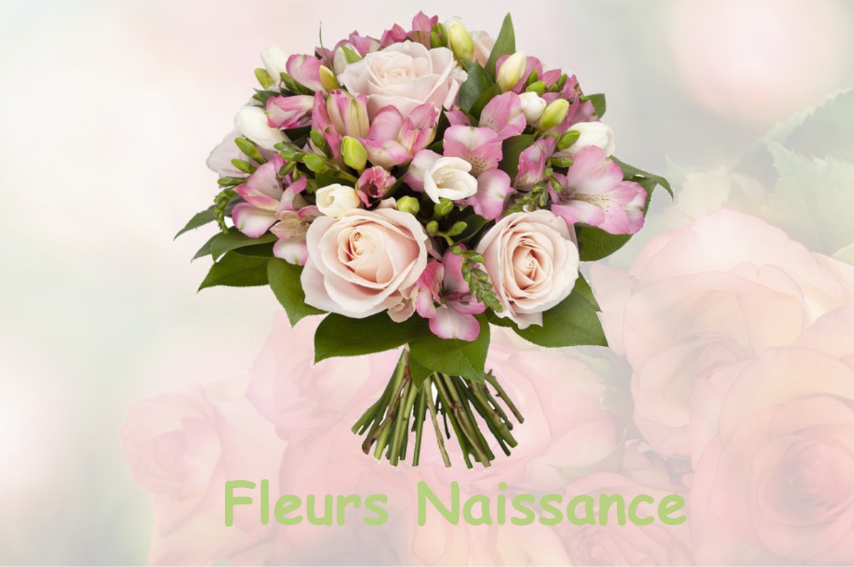 fleurs naissance BRETENIERES