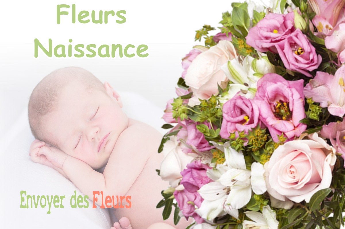 lIVRAISON FLEURS NAISSANCE à BRETENIERES